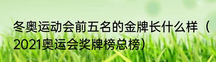 冬奥运动会前五名的金牌长什么样（2021奥运会奖牌榜总榜）