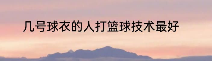 几号球衣的人打篮球技术最好