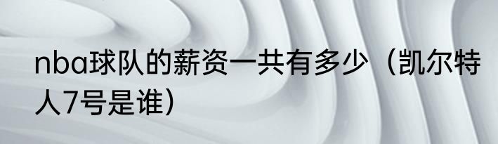 nba球队的薪资一共有多少（凯尔特人7号是谁）