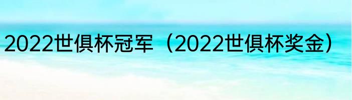 2022世俱杯冠军（2022世俱杯奖金）