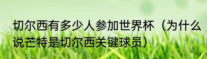 切尔西有多少人参加世界杯（为什么说芒特是切尔西关键球员）