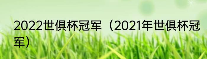 2022世俱杯冠军（2021年世俱杯冠军）