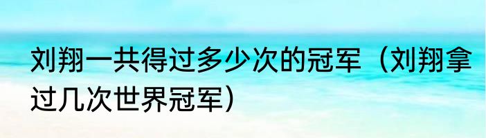 刘翔一共得过多少次的冠军（刘翔拿过几次世界冠军）