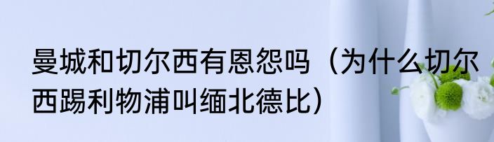 曼城和切尔西有恩怨吗（为什么切尔西踢利物浦叫缅北德比）