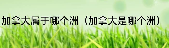 加拿大属于哪个洲（加拿大是哪个洲）