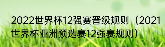 2022世界杯12强赛晋级规则（2021世界杯亚洲预选赛12强赛规则）