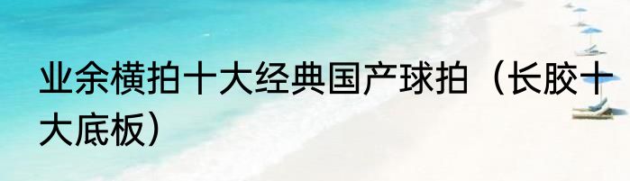 业余横拍十大经典国产球拍（长胶十大底板）