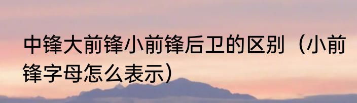 中锋大前锋小前锋后卫的区别（小前锋字母怎么表示）