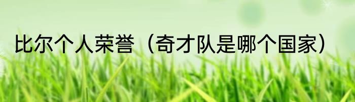 比尔个人荣誉（奇才队是哪个国家）