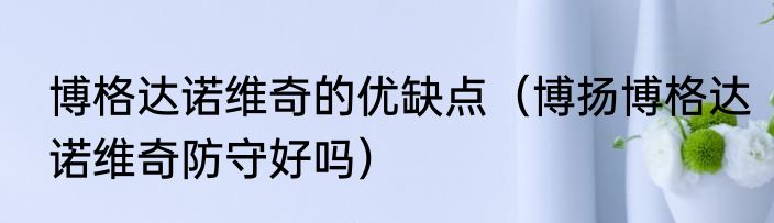 博格达诺维奇的优缺点（博扬博格达诺维奇防守好吗）