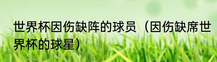 世界杯因伤缺阵的球员（因伤缺席世界杯的球星）