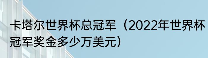 卡塔尔世界杯总冠军（2022年世界杯冠军奖金多少万美元）