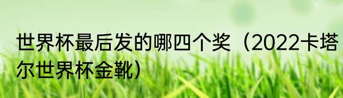 世界杯最后发的哪四个奖（2022卡塔尔世界杯金靴）