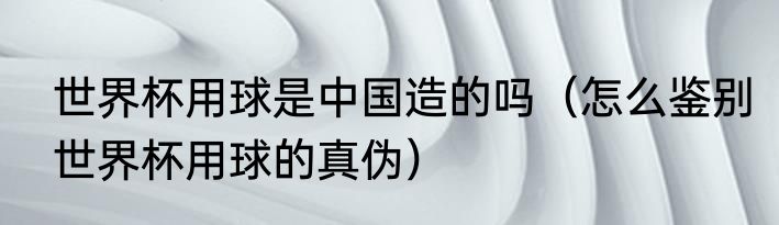 世界杯用球是中国造的吗（怎么鉴别世界杯用球的真伪）