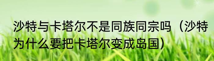 沙特与卡塔尔不是同族同宗吗（沙特为什么要把卡塔尔变成岛国）