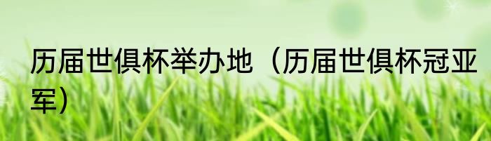 历届世俱杯举办地（历届世俱杯冠亚军）