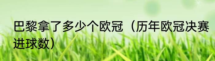 巴黎拿了多少个欧冠（历年欧冠决赛进球数）