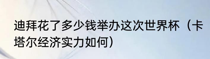 迪拜花了多少钱举办这次世界杯（卡塔尔经济实力如何）