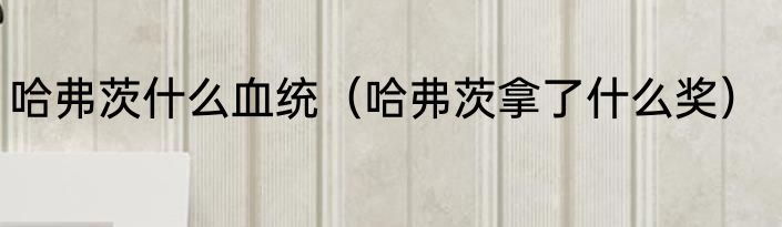 哈弗茨什么血统（哈弗茨拿了什么奖）