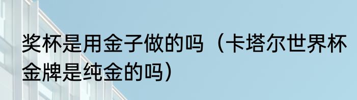 奖杯是用金子做的吗（卡塔尔世界杯金牌是纯金的吗）