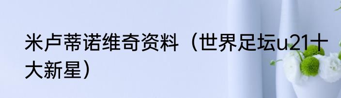 米卢蒂诺维奇资料（世界足坛u21十大新星）