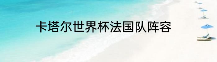 卡塔尔世界杯法国队阵容