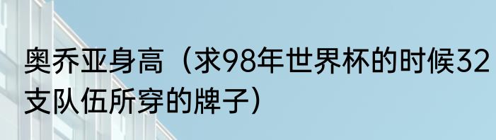 奥乔亚身高（求98年世界杯的时候32支队伍所穿的牌子）
