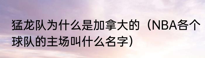 猛龙队为什么是加拿大的（NBA各个球队的主场叫什么名字）