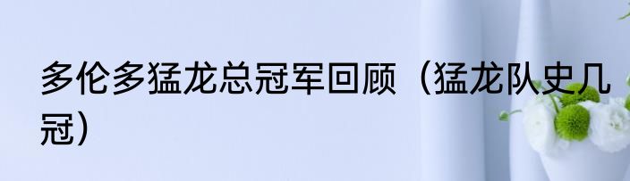 多伦多猛龙总冠军回顾（猛龙队史几冠）