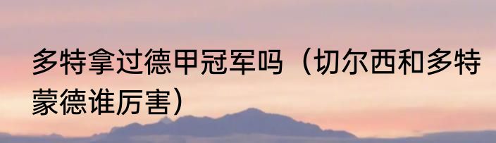 多特拿过德甲冠军吗（切尔西和多特蒙德谁厉害）