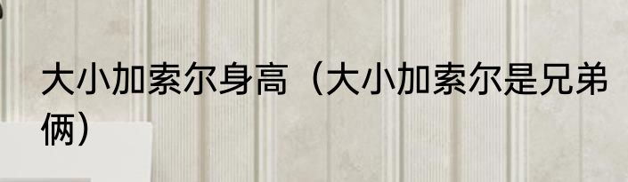 大小加索尔身高（大小加索尔是兄弟俩）