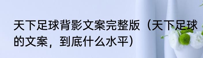 天下足球背影文案完整版（天下足球的文案，到底什么水平）