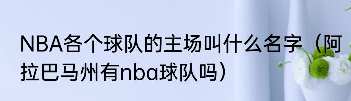 NBA各个球队的主场叫什么名字（阿拉巴马州有nba球队吗）