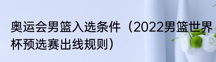 奥运会男篮入选条件（2022男篮世界杯预选赛出线规则）
