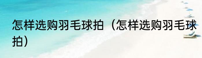 怎样选购羽毛球拍（怎样选购羽毛球拍）