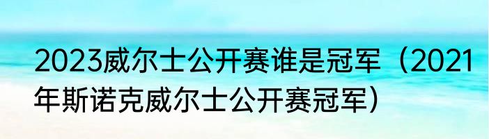 2023威尔士公开赛谁是冠军（2021年斯诺克威尔士公开赛冠军）