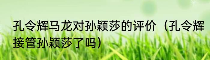 孔令辉马龙对孙颖莎的评价（孔令辉接管孙颖莎了吗）