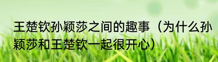 王楚钦孙颖莎之间的趣事（为什么孙颖莎和王楚钦一起很开心）