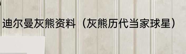 迪尔曼灰熊资料（灰熊历代当家球星）