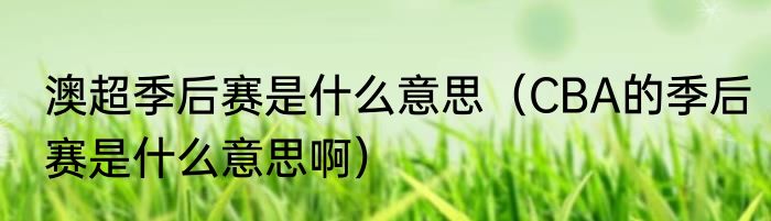 澳超季后赛是什么意思（CBA的季后赛是什么意思啊）