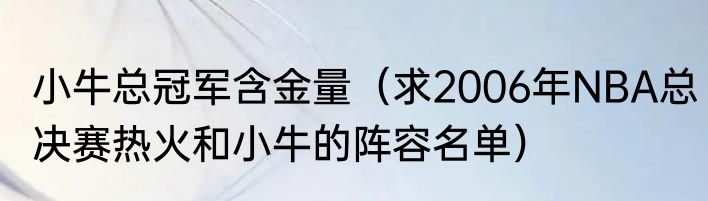 小牛总冠军含金量（求2006年NBA总决赛热火和小牛的阵容名单）