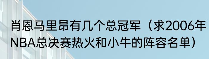 肖恩马里昂有几个总冠军（求2006年NBA总决赛热火和小牛的阵容名单）