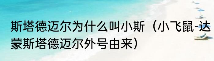斯塔德迈尔为什么叫小斯（小飞鼠-达蒙斯塔德迈尔外号由来）
