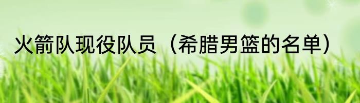 火箭队现役队员（希腊男篮的名单）