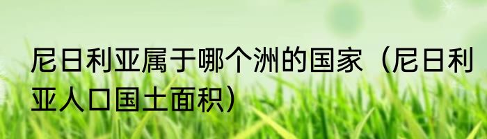 尼日利亚属于哪个洲的国家（尼日利亚人口国土面积）