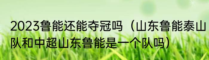 2023鲁能还能夺冠吗（山东鲁能泰山队和中超山东鲁能是一个队吗）