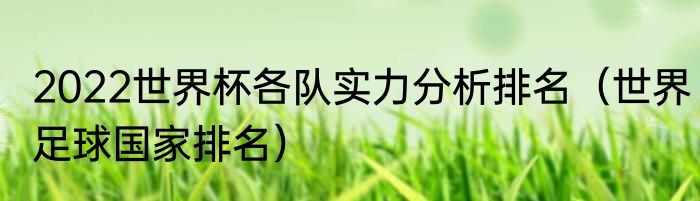 2022世界杯各队实力分析排名（世界足球国家排名）
