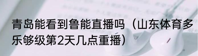 青岛能看到鲁能直播吗（山东体育多乐够级第2天几点重播）