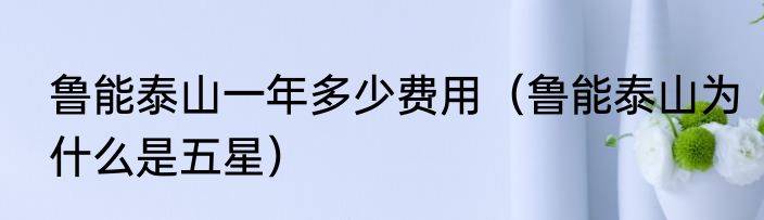 鲁能泰山一年多少费用（鲁能泰山为什么是五星）