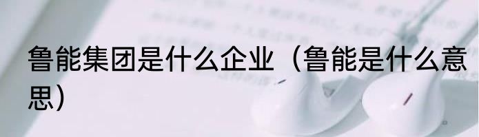 鲁能集团是什么企业（鲁能是什么意思）